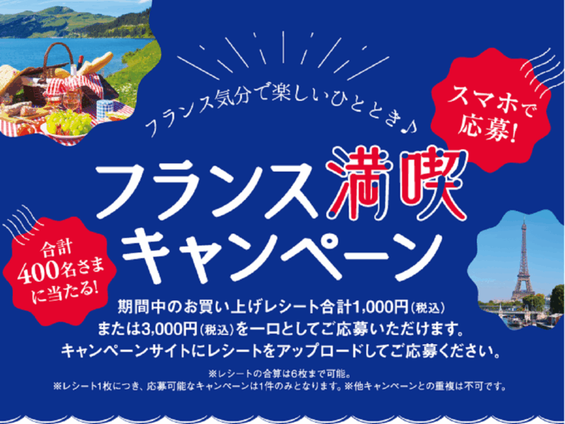 2505イオンフランス