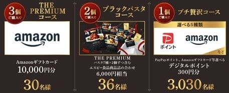 2506エスビーパスタ